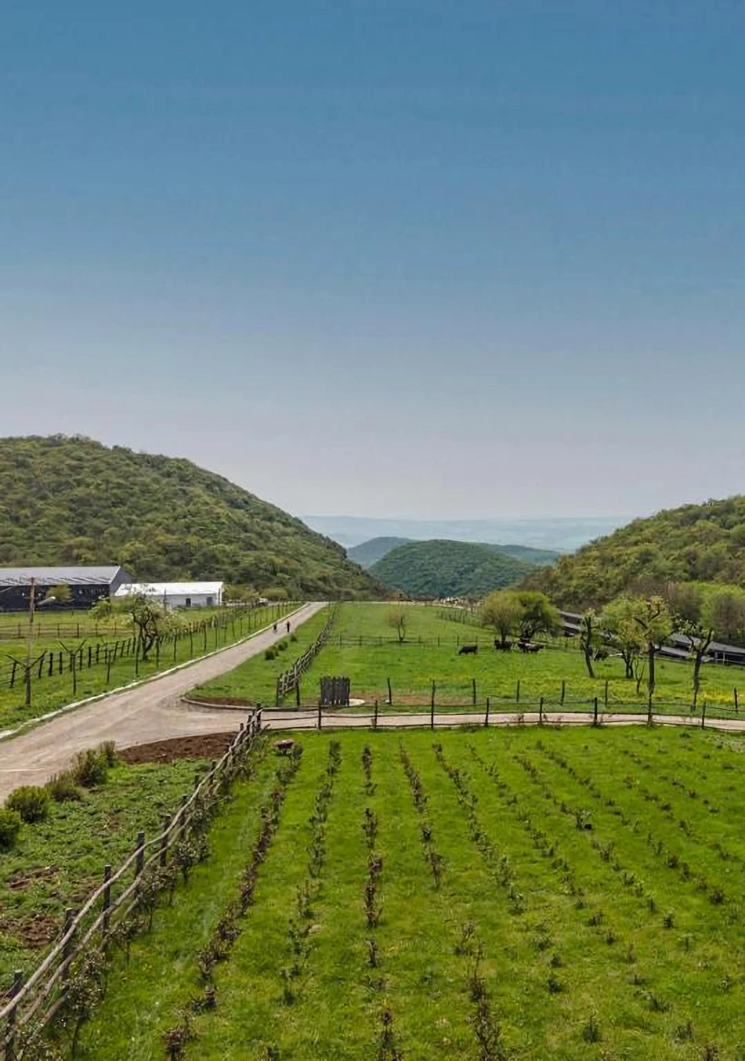 Summer wedding celebrations at Kiketi Farm in Georgia