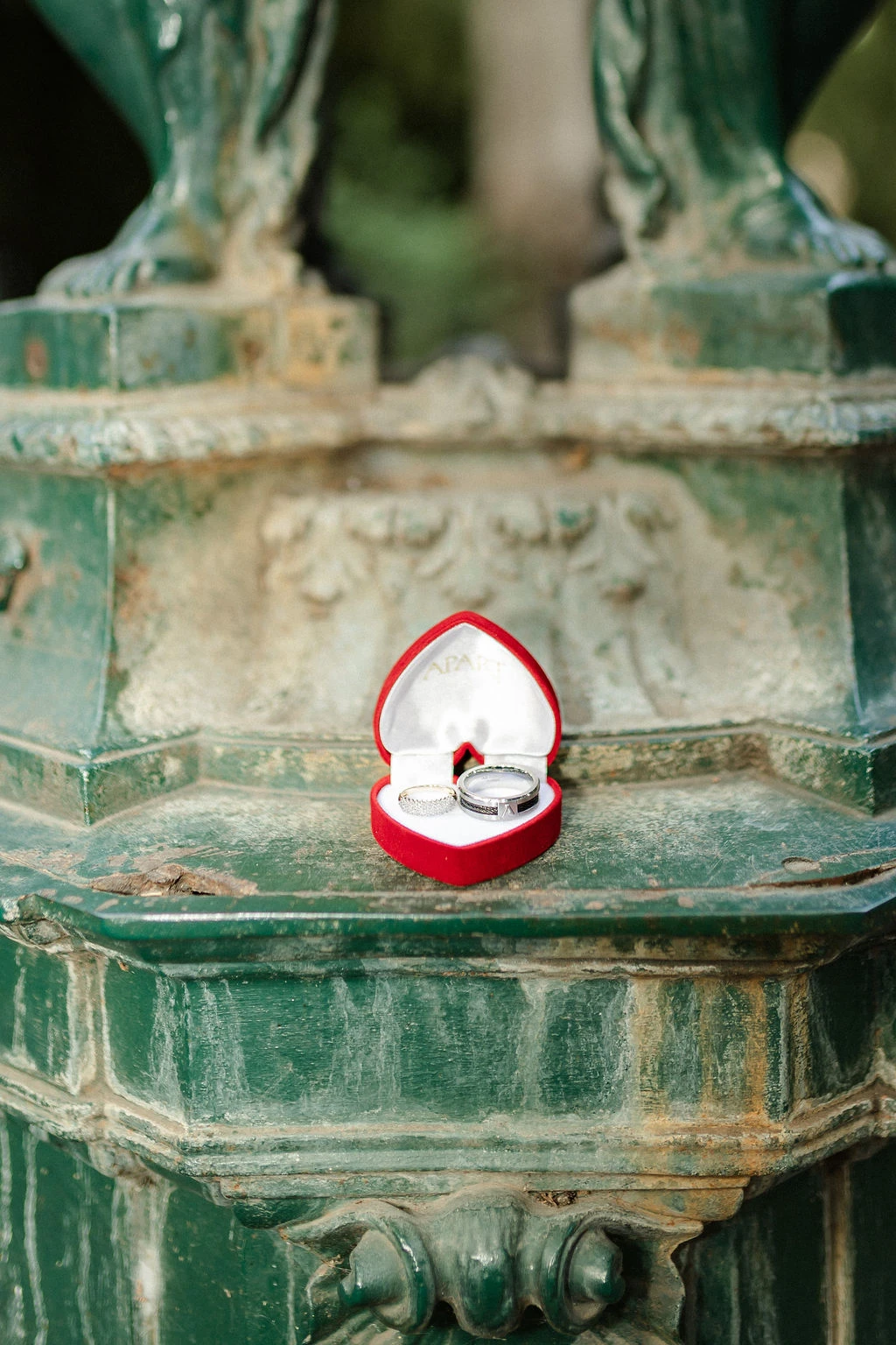 Wedding in Georgia for a couple from Lebanon