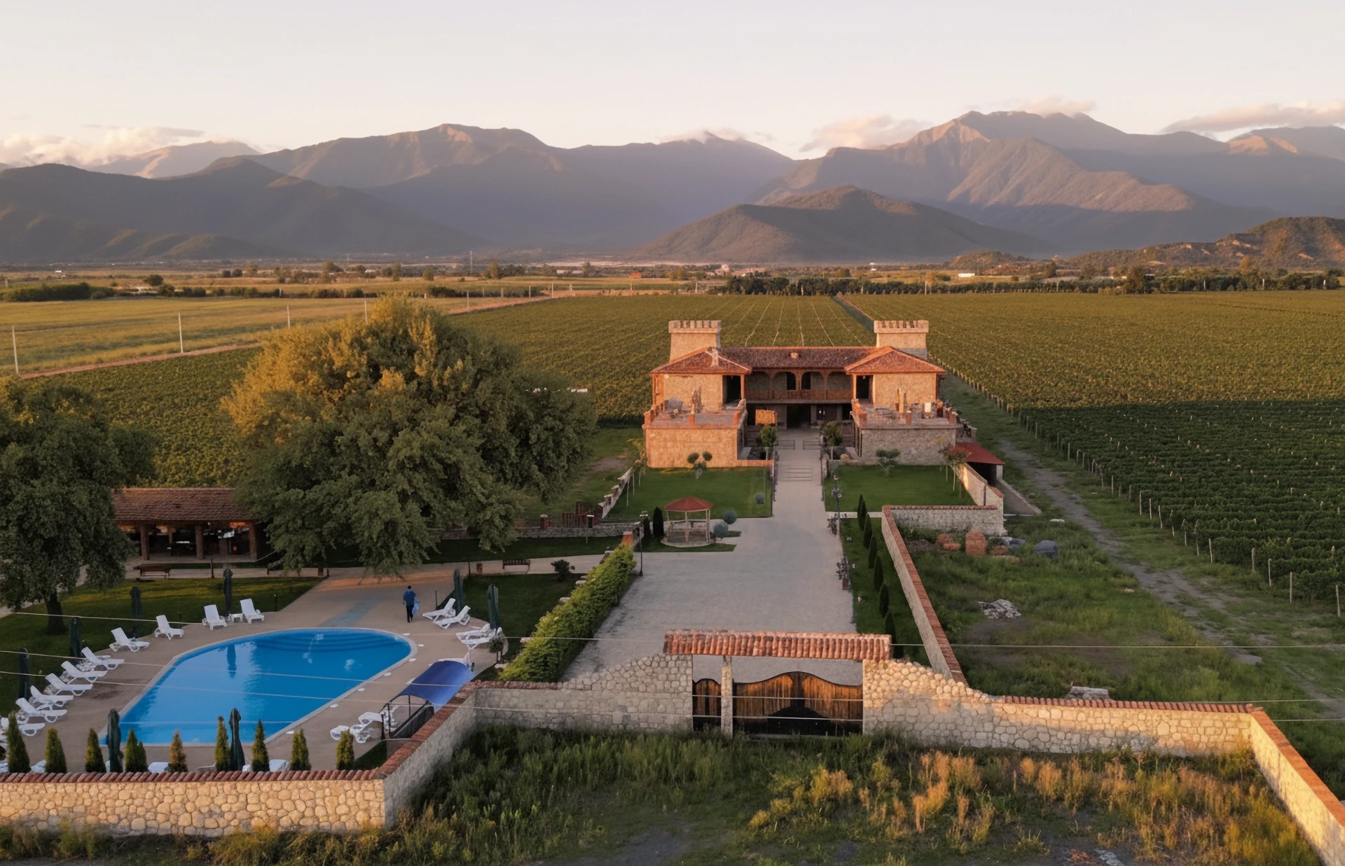 Wedding at the vineyard in Chateau Davitiani